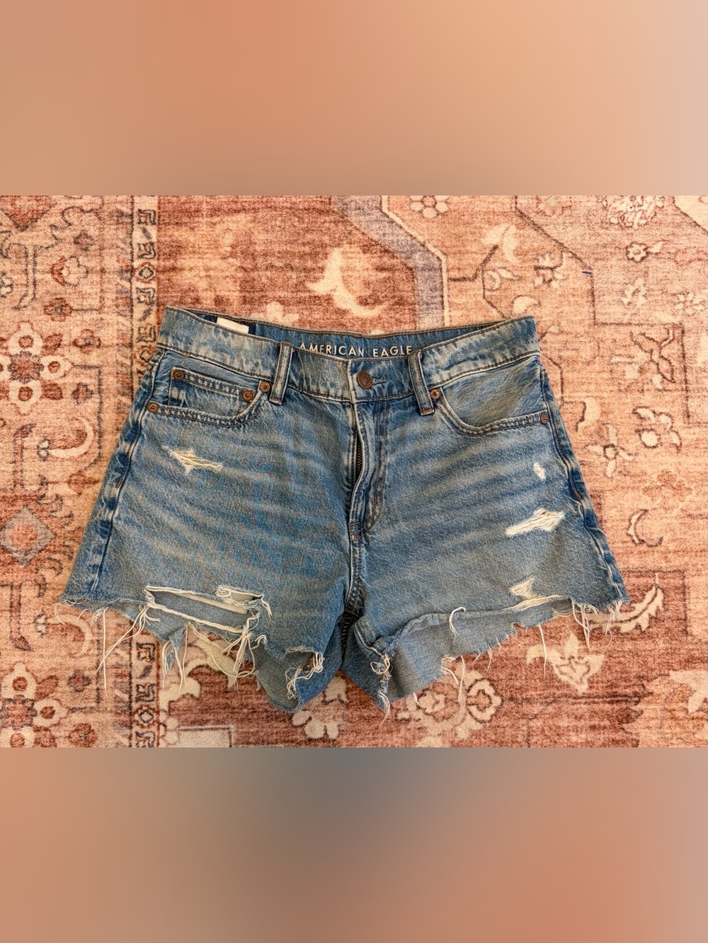 American Eagle Outfitters Distressed Blue Denim Cutoff Shorts